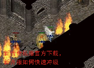 ´˽ٷأ¿οٳ弶