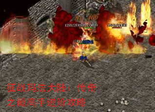 ս귨½֮۸ֽ׹