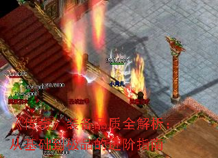桷װƷȫӻƷĽָ