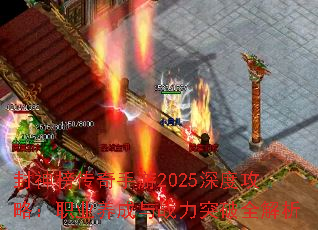 2025ȹԣְҵսͻȫ