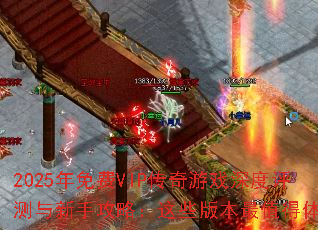 2025VIPϷֹԣЩ汾ֵ