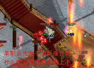 ְҵ·ģʲôְҵǰ֣