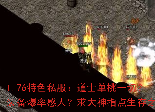 1.76ɫ˽ʿһУװʸˣָ֮