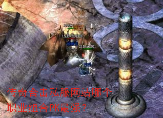 ϻ˽վĸְҵPKǿ