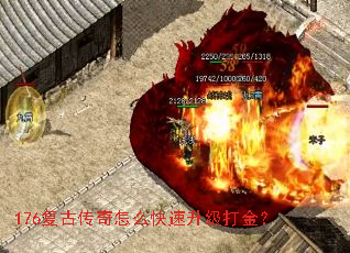 176Ŵô