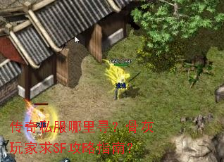 ˽ѰǻSFָϣ