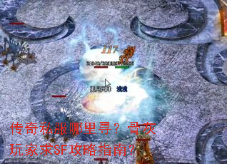 ˽ѰǻSFָϣ