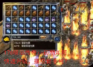 176Ʒ棺οִ壿