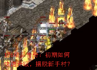 176Ʒ棺οִ壿
