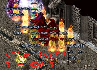 洫棺ο֣ȿӣ