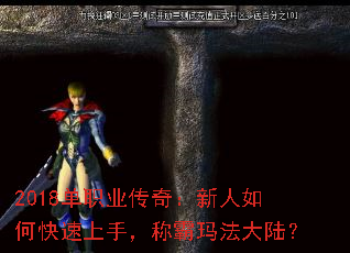 2018ְҵ棺ο֣ư귨½