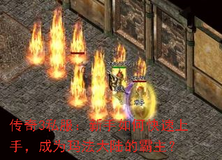 3˽ο֣Ϊ귨½İ