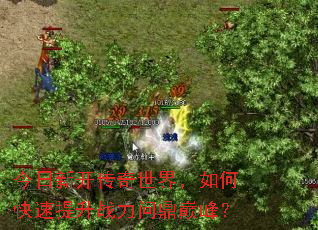 ¿磬οսʶ۷壿