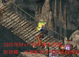 2025sf123ν׹ԣµռָ