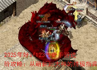 2025sf123ν׹ԣµռָ