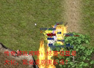 ϷԣЧ󻯣봽ļǿ