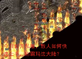 ¿˽ɢο֣ư귨½