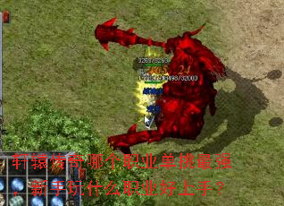 ԯĸְҵǿʲôְҵ֣
