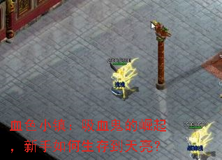 ѪɫСѪ浽