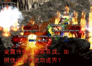 ӹ棬ɣο书磿