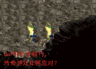 dnfPKҺУϷӦԣ