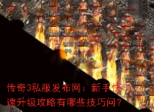 3˽ֿЩʣ