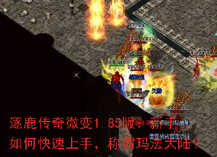 ¹΢1.85棺ο֣ư귨½