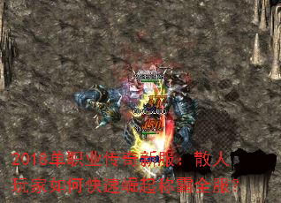 2018ְҵ·ɢοưȫ