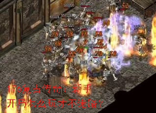 176Ŵ棺ֿôŲ·