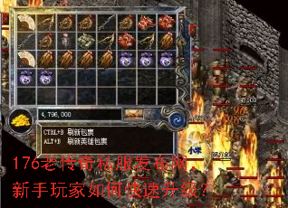 176ϴ˽ο
