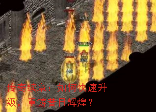 £οջԻͣ