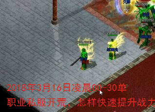 2018316賿00-30ְҵ˽ģսʣ