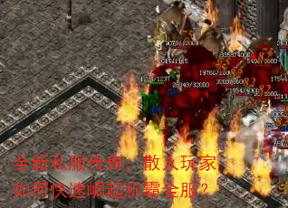 ȫ˽棬ɢοưȫ