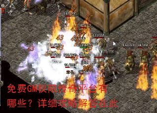 GMȨ޴ƽ̨ЩϸԽڴ