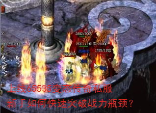 65535̬˽οͻսƿ