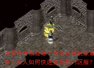 ѩ˽ĸ汾ࣿοҵ
