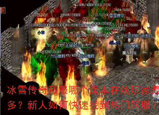 ѩ˽ĸ汾ࣿοҵ