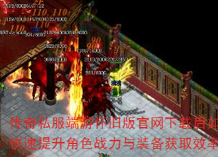 ˽λɰغοɫսװȡЧʣ