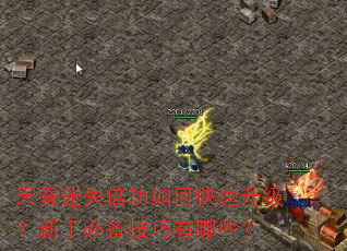 ʧοֱرЩ