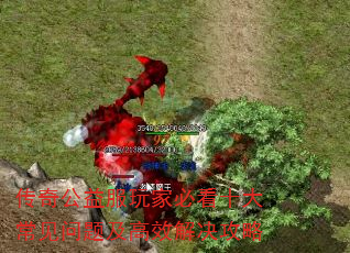 湫ұؿʮ󳣼⼰Ч