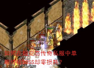 ڳ̬˽еˢռBOSSȴģ