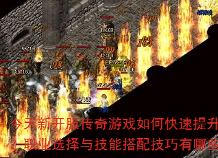 ¿Ϸοսְҵѡ뼼ܴ似Щ
