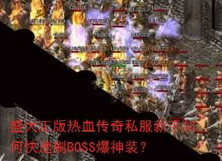 ʢѪ˽οˢBOSSװ