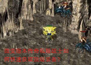 ΢汾˽սʿοٻȡװ