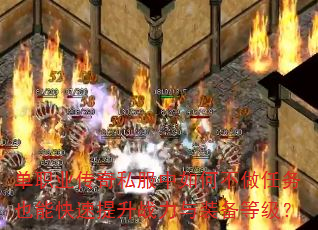 ְҵ˽βҲܿսװȼ