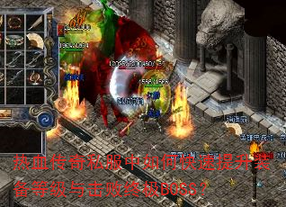 Ѫ˽οװȼռBOSS