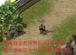 泬̬˽65535οˢװͻƵȼƿ