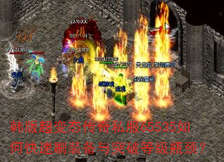 泬̬˽65535οˢװͻƵȼƿ
