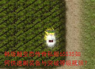 泬̬˽65535οˢװͻƵȼƿ
