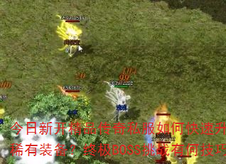 ¿Ʒ˽οȡϡװռBOSSսкμɣ